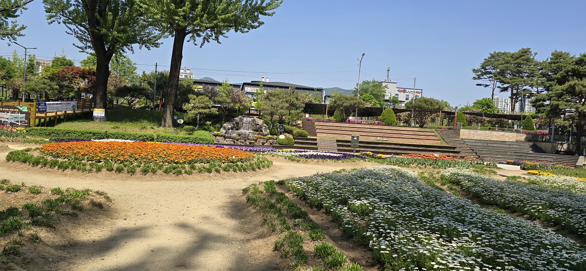 20260425_115150.jpg