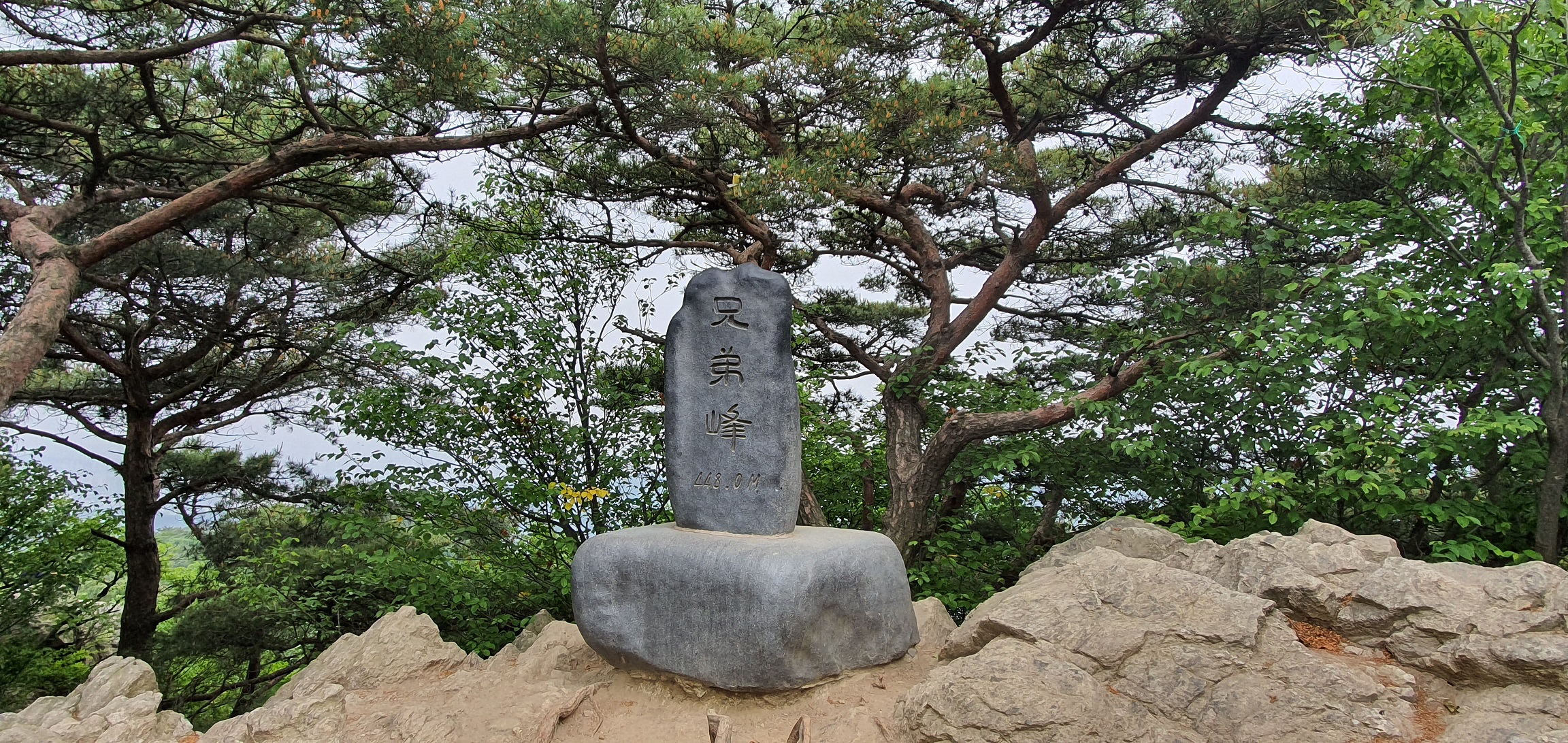 형제봉 2.jpg : 산이 무진장 좋다 !  2