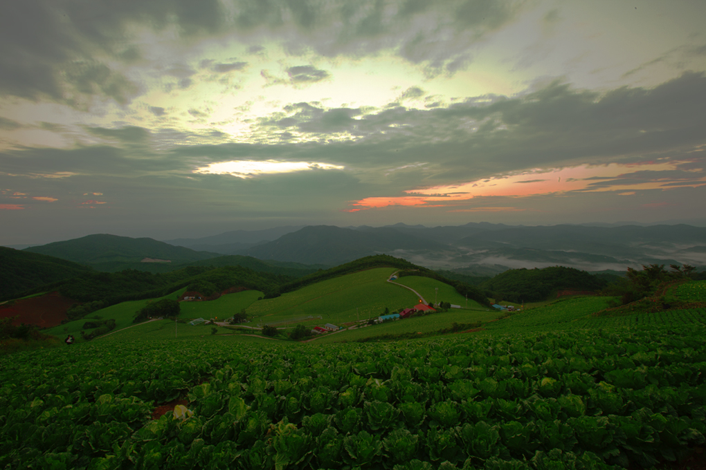 5d1aa7d43204f50d6b8547ef21097bf7.jpg : 안반데기